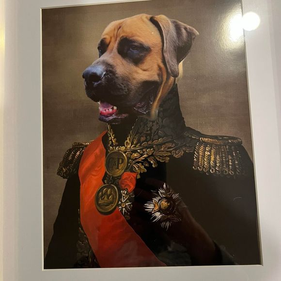 Meet your Posher, Grant - Picture 1 of 1